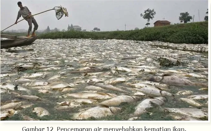 Gambar 12  Pencemaran air menyebabkan kematian ikan.Sumber  https://www.google.co.id/search?q=gambar+pencemaran+air&tbm.