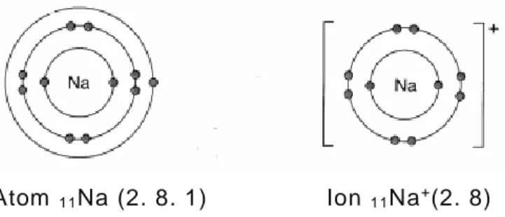 Gambar 4 Perubahan Struktur Elektron Atom Cl menjadi Ion Cl - -Sumber : http://4.bp.blogspot.com 