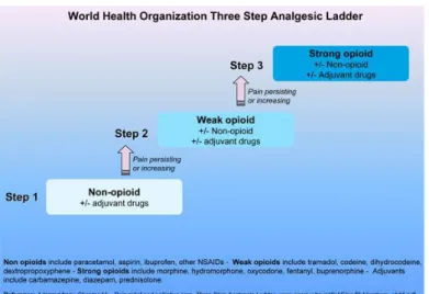 Gambar 3. 4: WHO 3-Step Analgesic ladder 