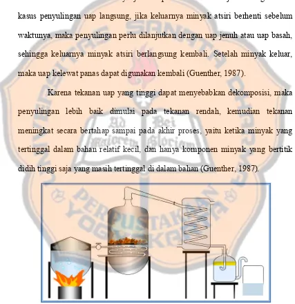 Gambar 3. Alat penyulingan dengan uap langsung