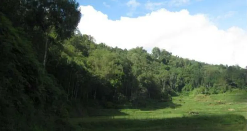 Gambar 2. Hutan Adat Tongkonan Kollo-Kollo berbatasan dengan hutan adat Beloraya di kabupaten Toraja Utara (Dokumentasi BPCB Makassar, 2012)