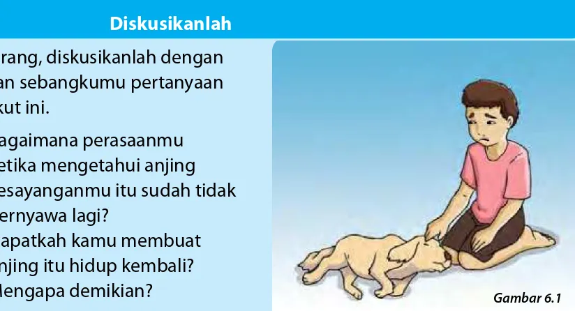 Gambar 6.1Anjing Kesayangan Tidak Bernyawa Lagi