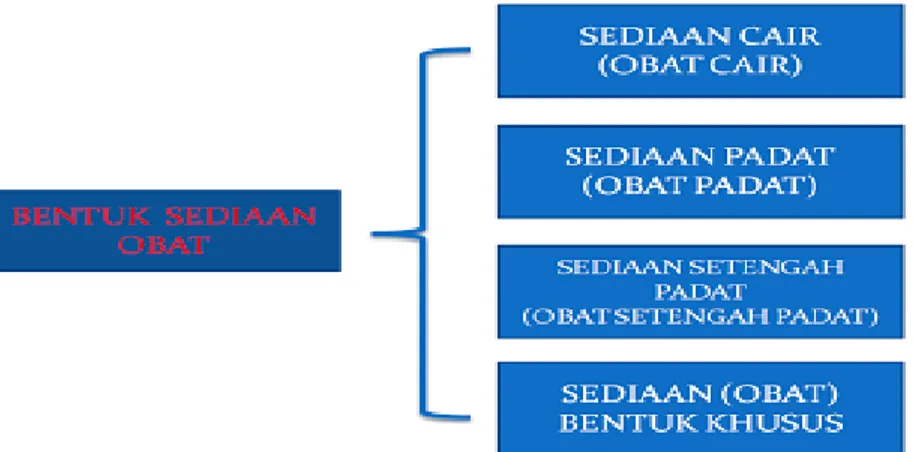 Gambar 10: Diagram Skema Bentuk Sediaan Obat 