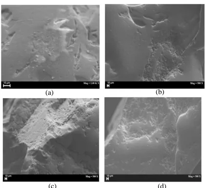 Gambar 3 Morfologi pasir silika (a) sebelum proses sonikasi (b) sonikasi aquadest 120 menit  (c) Sonikasi asam oksalat 15 menit (d) Sonikasi asam oksalat 120 menit 
