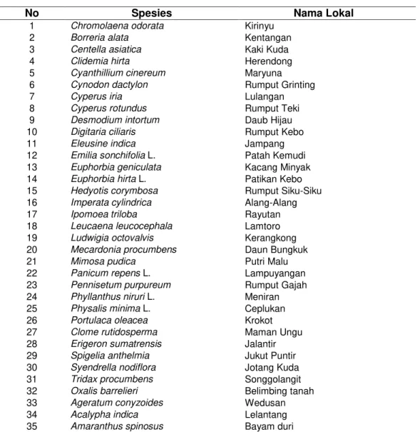 Tabel 1 Daftar Gulma yang Terdapat pada Lokasi Penelitian