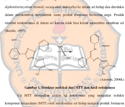 Gambar 1. Struktur molekul dari MTT dan hasil reduksinya 