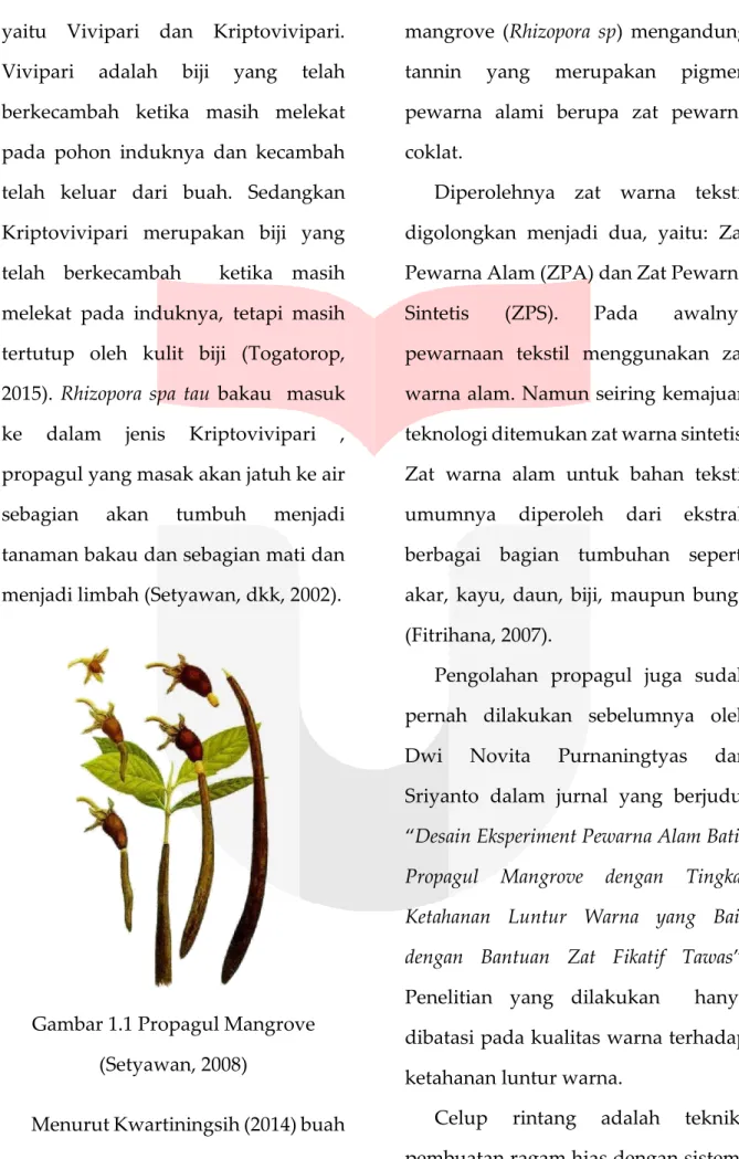 Gambar 1.1 Propagul Mangrove  (Setyawan, 2008) 