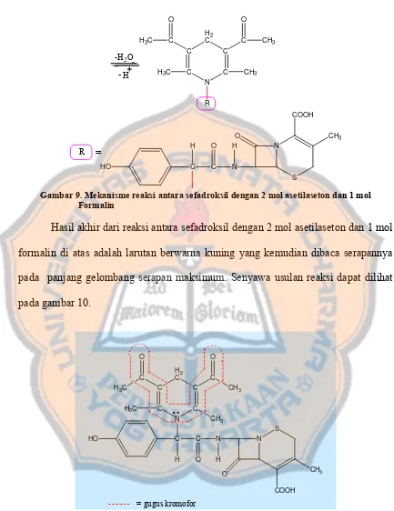 Gambar 9. Mekanisme reaksi antara sefadroksil dengan 2 mol asetilaseton dan 1 mol   Formalin 