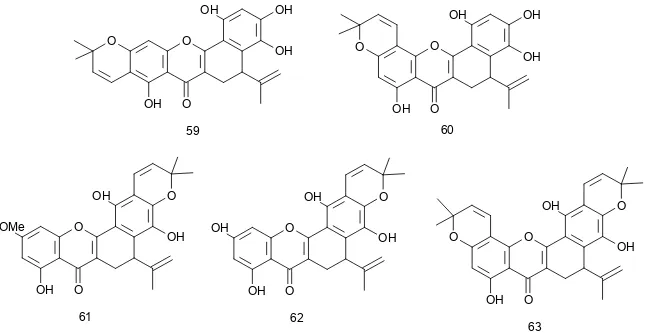 Gambar 10. Senyawa hasil siklisasi antara gugus isoprenil pada posisi C-3 dengan gugus hidroksil pada posisi C-2’  