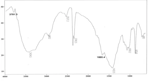 Gambar 1. Spektra IR Cangkang Kepiting Bakau 