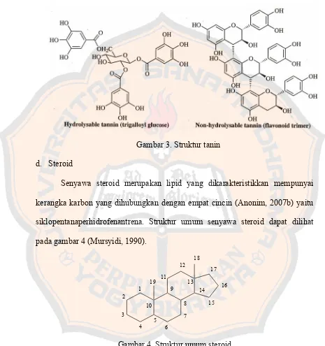 Gambar 4. Struktur umum steroid  