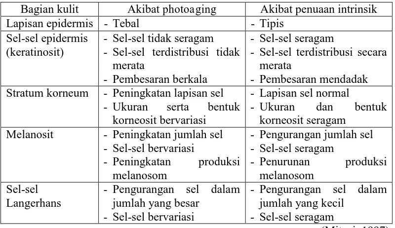 Tabel 2.1 Perbedaan anatomi antara penuaan intrinsik dan photoaging pada perubahan epidermis  