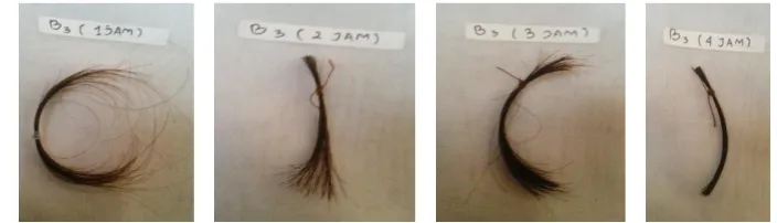 Tabel 3.Data hasil pengamatan secara visual pengaruh konsentrasi serbuk kayu secang terhadap perubahan warna rambut uban