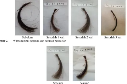 Gambar 2.Warna rambut sebelum dan sesudah pencucian