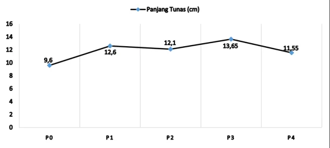Gambar  2.  Diagram  Rata-rata  Panjang  Tunas  pada  Pemberian  Ekstrak  Bawang  Merah  sebagai ZPT terhadap Keberhasilan Sambung Pucuk Tanaman Kakao