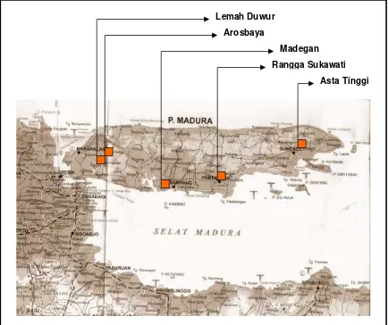 Gambar I.1. Peta lokasi penelitian yang ada di Bangkalan, Sampang,Pamekasan dan Sumenep.