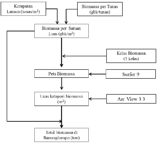 Gambar 1.  Diagram alir proses untuk mendapatkan total biomassa 