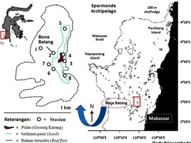 Gambar 1. Peta lokasi penelitian dan letak stasiun di pulau Bone Batang.  Jenis Enhalus acoroides membutuhkan 