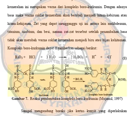 Gambar 7.  Reaksi pembentukan kompleks boro-kurkumin (Mujamil, 1997) 