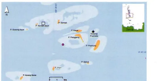Gambar 1. Lokasi penelitian, (lingkaran = site eksperime; segiempat = lokasi penambangan pasir dan pecahan karang; bintang = lokasi penimbunan pasir dan pecahan karang).