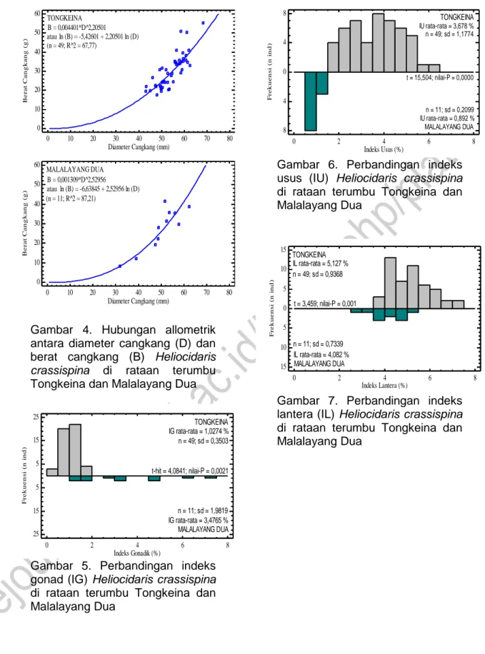 Gambar  5.  Perbandingan  indeks  gonad (IG) Heliocidaris crassispina  di  rataan  terumbu  Tongkeina  dan  Malalayang Dua 