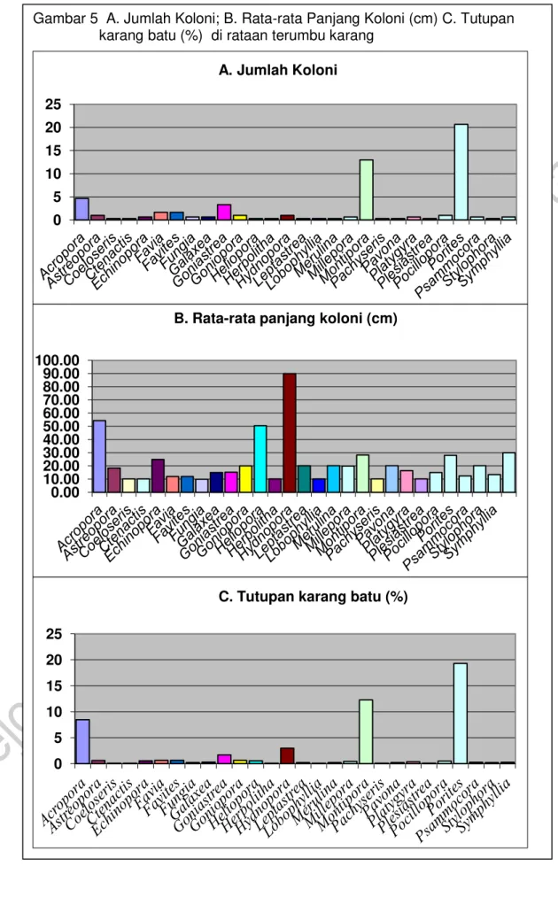 Gambar 5  A. Jumlah Koloni; B. Rata-rata Panjang Koloni (cm) C. Tutupan  karang batu (%)  di rataan terumbu karang 
