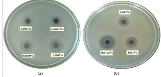 Gambar I. Pengukuran KHM fraksi etil asetat pelepah aren terhadap bakteri Staphylococcus aureus (a) dan Propionibacterium acnes (b) 