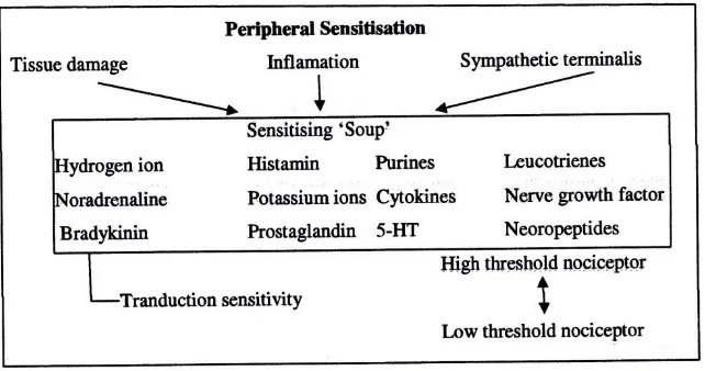 Gambar 5. Mekanisme Sensitasi Perifer (Sjahrir II, 2006) 