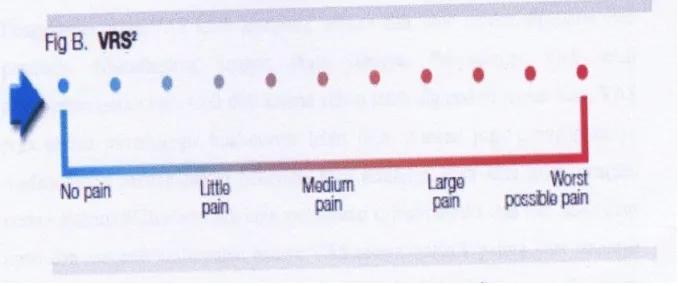 Gambar 7.Wong Baker Faces Pain Rating Scale (Sjahrir II, 2006) 