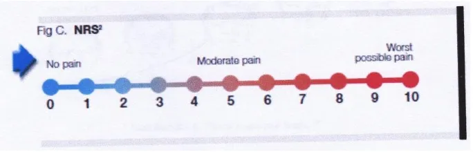 Gambar 9.Numerical Rating Scale (Sjahrir II, 2006) 