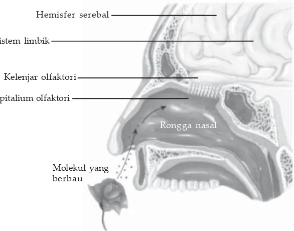 Gambar 3.11Molekul yang