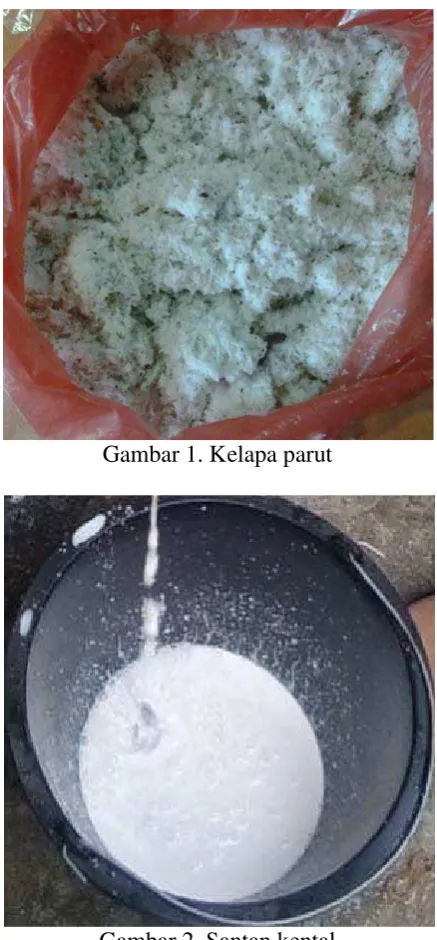 Gambar 1. Kelapa parut 
