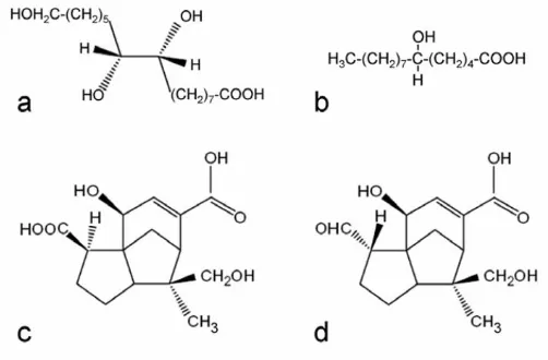 Gambar 2.1 komponen utama shellac: (a) asam aleuritic; (b) asam butolic; 
