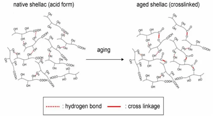 Gambar 2.3. Reaksi esterifikasi pada shellac (Farag, 2010) 