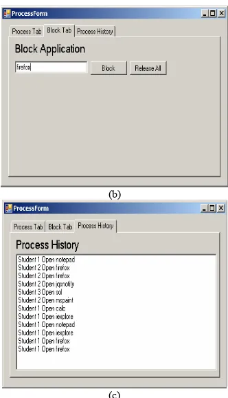 Figure 12.  Display on the Computer Client Monitor 