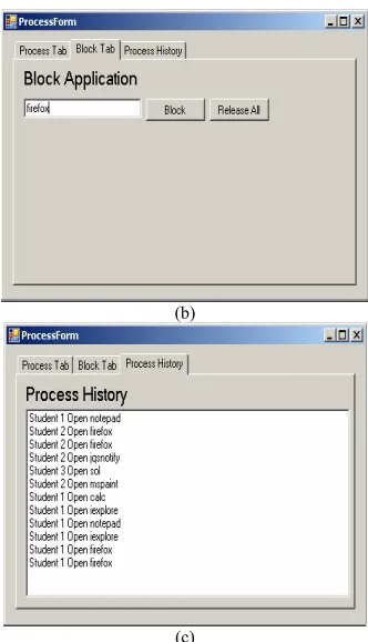 Figure 12.  Display on the Computer Client Monitor 