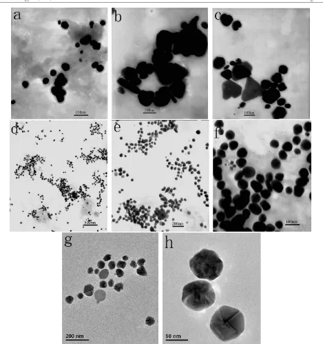 Figure 2. Transmission electron micrographs of silver nanoparticles after bioreduction