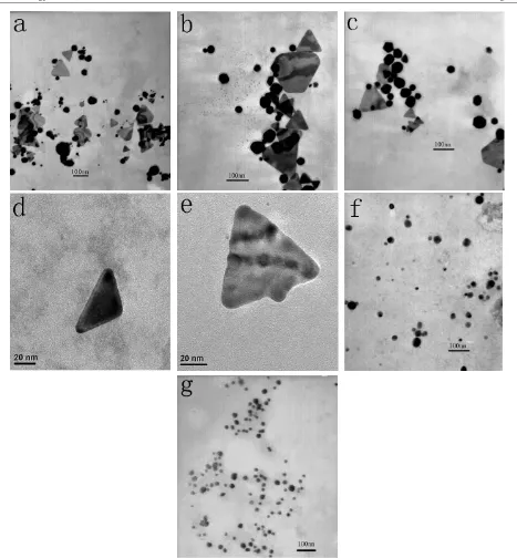 Figure 7. TEM images illustrating the formation of gold nanoparticles by exposing (a)–(e) 0.1 g, (f) 0.5 g, biomass to 50 ml, 1 mM aqueousHAuCl4 at 30 ◦C