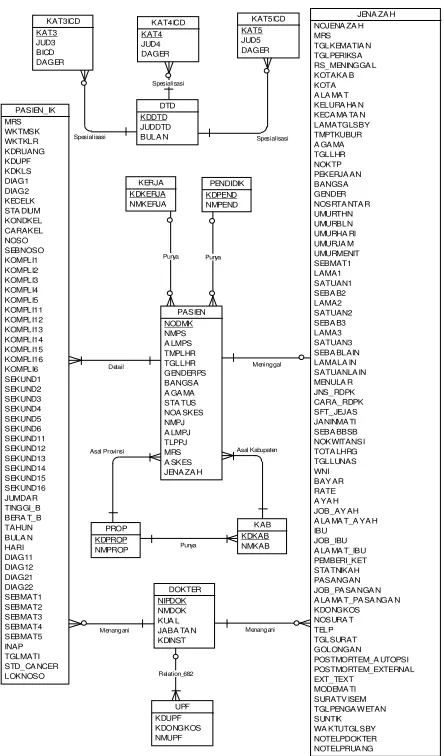 Figure 4. Conceptual ERD of Disease Track Record Database RSU Dr. Soetomo 