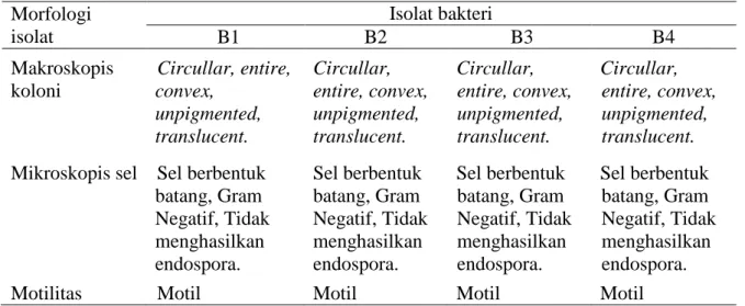 Tabel 4. Hasil pengamatan morfologi isolat bakteri (B1-B4) dari karang S. polydactyla