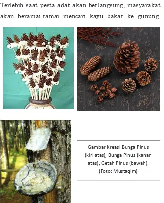 Gambar Kreasi Bunga Pinus 