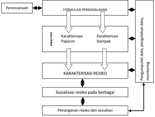 Gambar 1. Kerangka Penilaian Resiko Lingkungan (USEPA, 1998) 