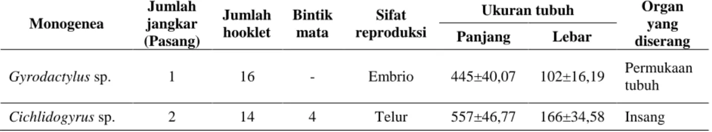 Tabel 3. Ciri-ciri morfologi monogenea pada ikan nila (Oreochromis sp.) 