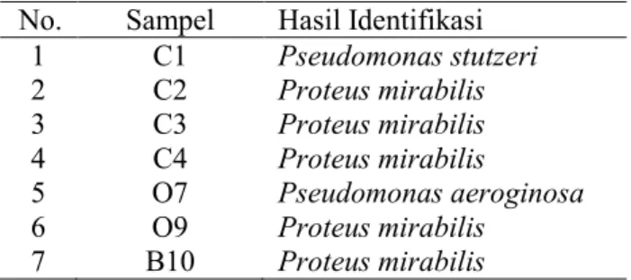 Tabel 2. Spesies Hasil Identifikasi Limbah Laboratorium  Kesehatan STIKes Maharani 
