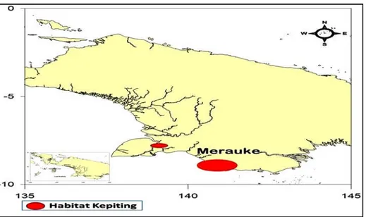 Gambar 1. Lokasi sampling dan daerah penangkapan kepiting merah di perairan Merauke dan sekitarnya