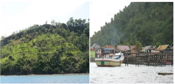 Tabel 3.  Jenis Tanah dan Bahan Induk Kecamatan Pulau Sembilan. 