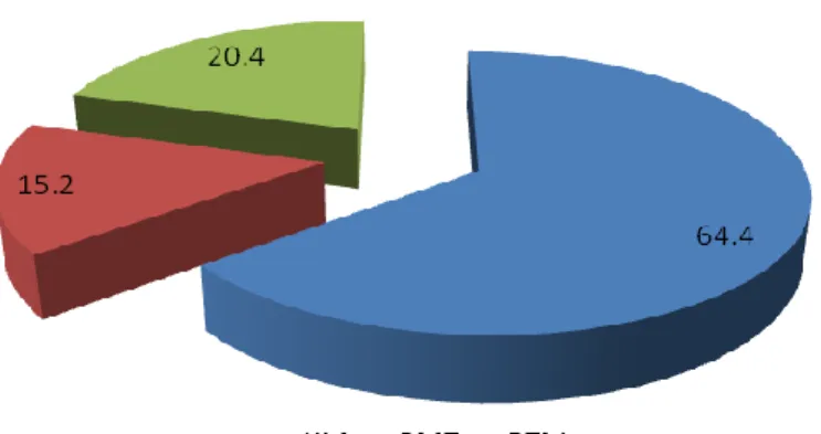 Gambar 8 .  Grafik persentase perbandingan jumlah armada penangkapan  di Pulau-Pulau Sembilan Tahun Data akhir 2011 