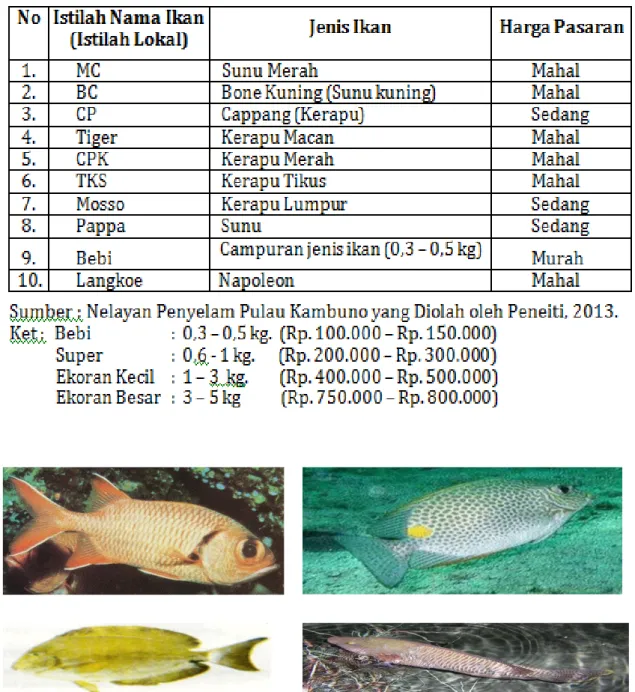 Gambar  9.    Beberapa  Jenis  Ikan  Karang  Tangkapan  Nelayan  di  Pulau-Pulau  Sembilan