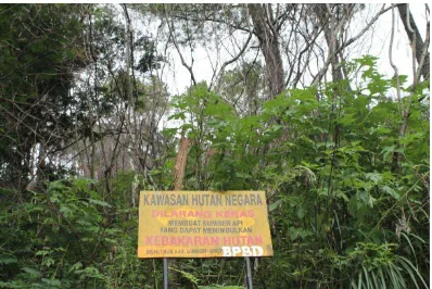Gambar 4.2. Papan pengumuman yang melatarbelakangi hutan yang masih terjaga kelestariannya (Sumber: Samuel Sagala) 