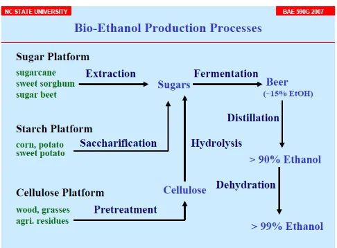 Gambar 14 Proses Pembuatan Bioetanol 